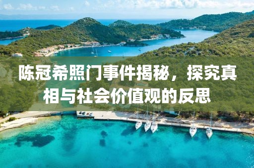 陈冠希照门事件揭秘，探究真相与社会价值观的反思