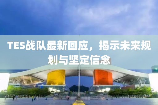TES战队最新回应，揭示未来规划与坚定信念