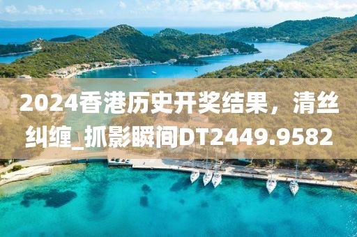 2024香港历史开奖结果，清丝纠缠_抓影瞬间DT2449.9582