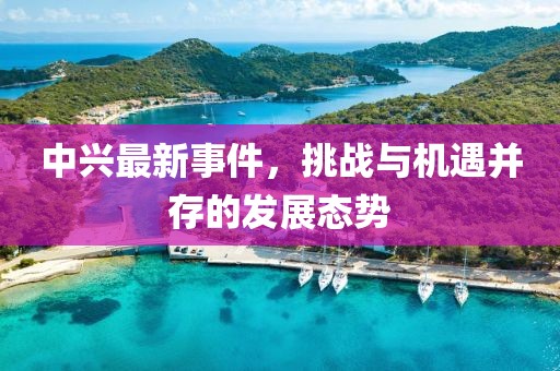 中兴最新事件，挑战与机遇并存的发展态势