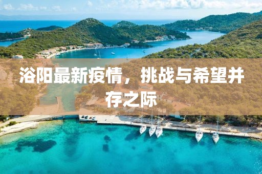 浴阳最新疫情，挑战与希望并存之际