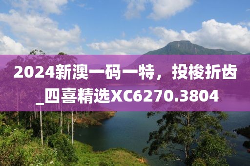 2024新澳一码一特，投梭折齿 _四喜精选XC6270.3804