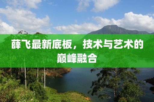 薛飞最新底板，技术与艺术的巅峰融合