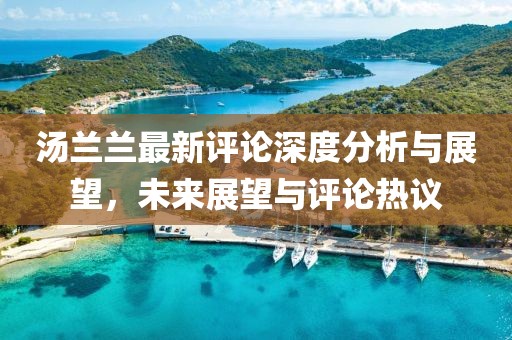 汤兰兰最新评论深度分析与展望，未来展望与评论热议