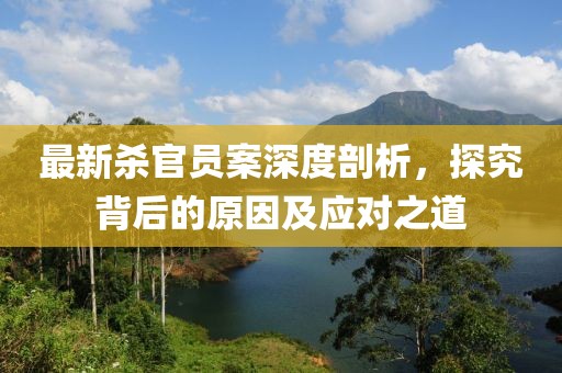 最新杀官员案深度剖析，探究背后的原因及应对之道
