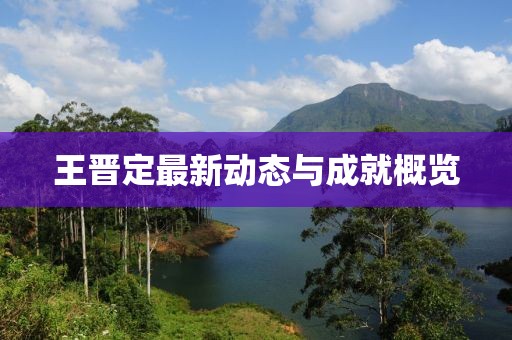 王晋定最新动态与成就概览