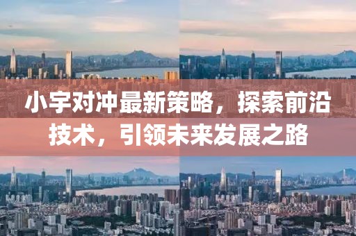 小宇对冲最新策略，探索前沿技术，引领未来发展之路