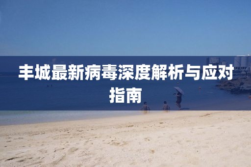 丰城最新病毒深度解析与应对指南