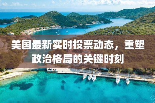美国最新实时投票动态，重塑政治格局的关键时刻