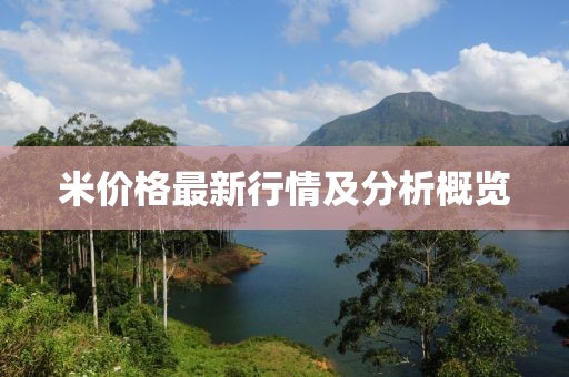 米价格最新行情及分析概览