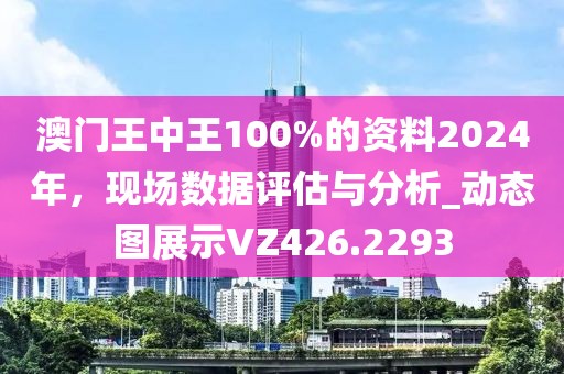 澳门王中王100%的资料2024年，现场数据评估与分析_动态图展示VZ426.2293