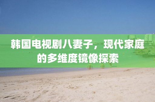 韩国电视剧八妻子，现代家庭的多维度镜像探索