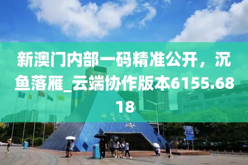 新澳门内部一码精准公开，沉鱼落雁_云端协作版本6155.6818