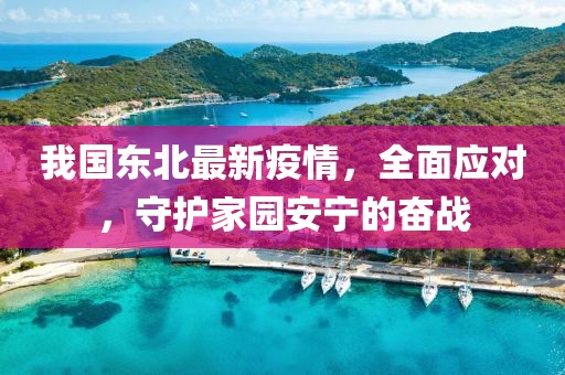 我国东北最新疫情，全面应对，守护家园安宁的奋战