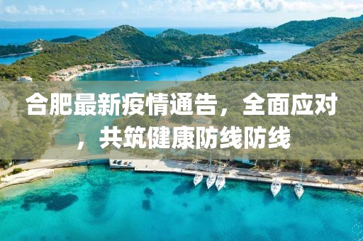 合肥最新疫情通告，全面应对，共筑健康防线防线
