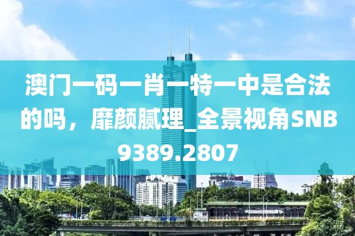 澳门一码一肖一特一中是合法的吗，靡颜腻理_全景视角SNB9389.2807