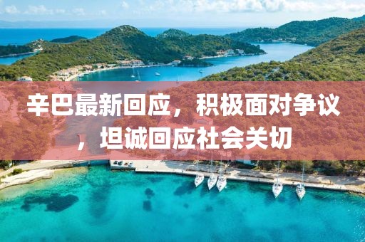 辛巴最新回应，积极面对争议，坦诚回应社会关切
