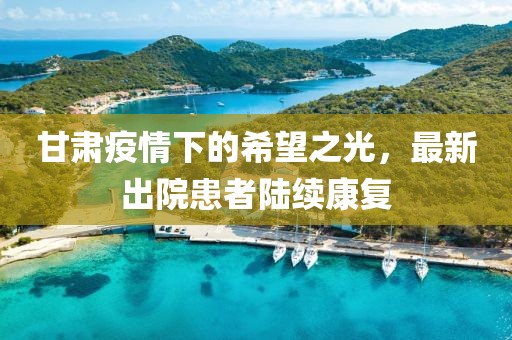 甘肃疫情下的希望之光，最新出院患者陆续康复