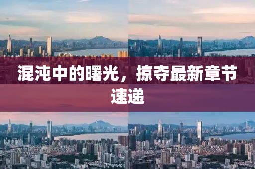 混沌中的曙光，掠夺最新章节速递