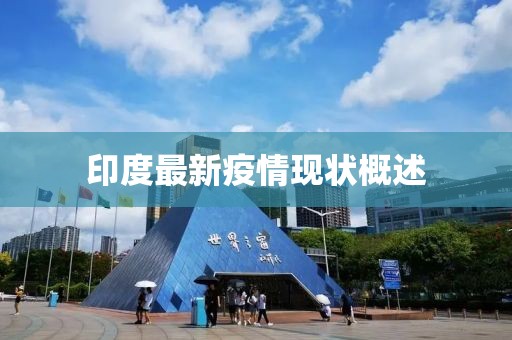印度最新疫情现状概述