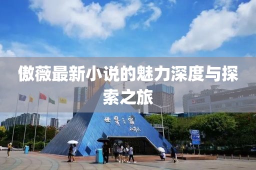 傲薇最新小说的魅力深度与探索之旅