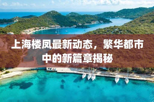 上海楼凤最新动态，繁华都市中的新篇章揭秘