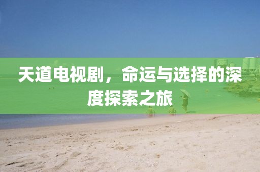 天道电视剧，命运与选择的深度探索之旅