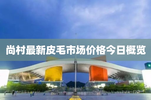 尚村最新皮毛市场价格今日概览