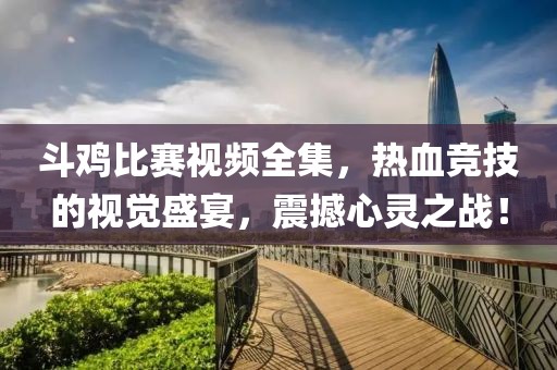 斗鸡比赛视频全集，热血竞技的视觉盛宴，震撼心灵之战！