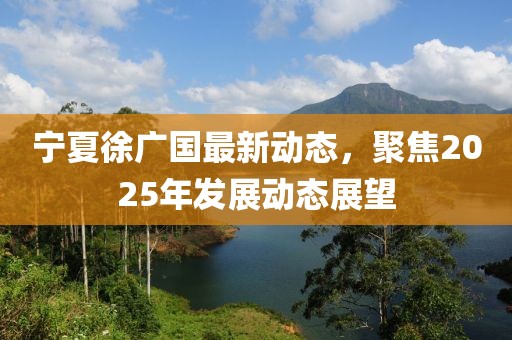 宁夏徐广国最新动态，聚焦2025年发展动态展望