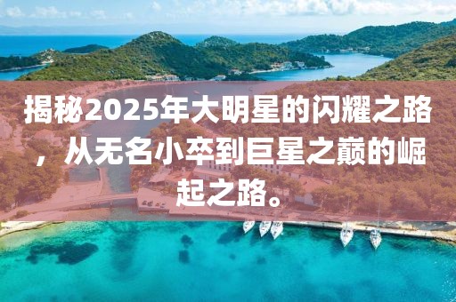 揭秘2025年大明星的闪耀之路，从无名小卒到巨星之巅的崛起之路。