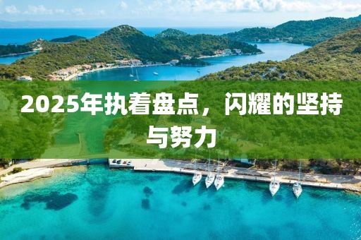 2025年执着盘点，闪耀的坚持与努力