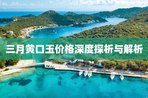 三月黄口玉价格深度探析与解析