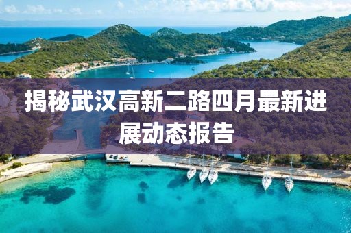 揭秘武汉高新二路四月最新进展动态报告