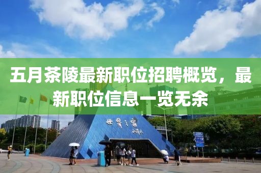 五月茶陵最新职位招聘概览，最新职位信息一览无余