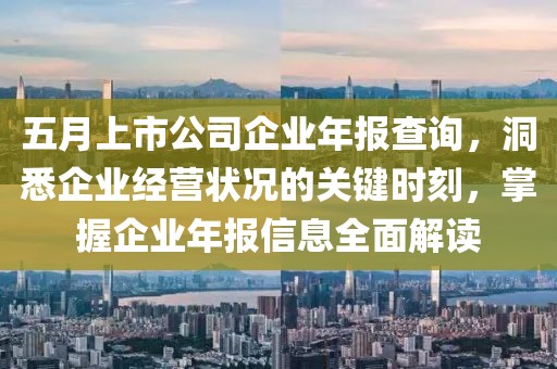五月上市公司企业年报查询，洞悉企业经营状况的关键时刻，掌握企业年报信息全面解读