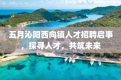 五月沁阳西向镇人才招聘启事，探寻人才，共筑未来