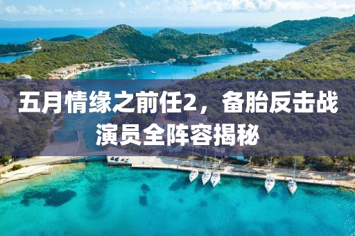 五月情缘之前任2，备胎反击战演员全阵容揭秘