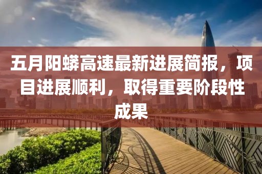 五月阳蟒高速最新进展简报，项目进展顺利，取得重要阶段性成果
