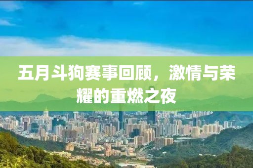 五月斗狗赛事回顾，激情与荣耀的重燃之夜
