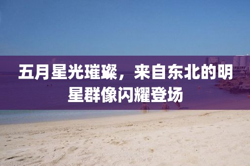 五月星光璀璨，来自东北的明星群像闪耀登场