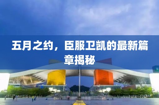 五月之约，臣服卫凯的最新篇章揭秘