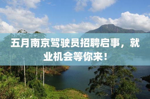 五月南京驾驶员招聘启事，就业机会等你来！