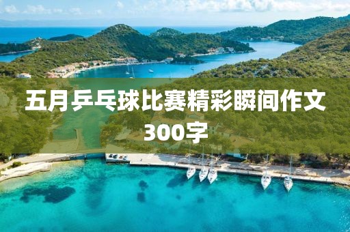五月乒乓球比赛精彩瞬间作文300字