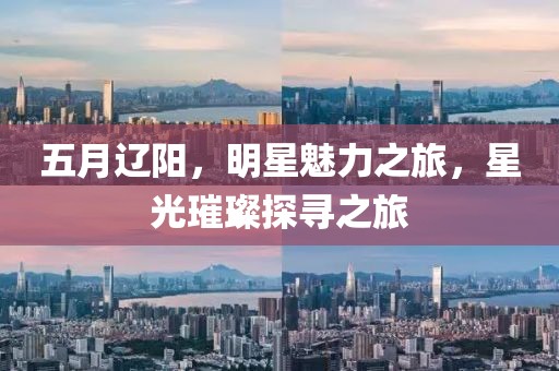 五月辽阳，明星魅力之旅，星光璀璨探寻之旅