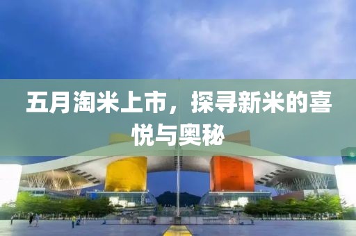 五月淘米上市，探寻新米的喜悦与奥秘