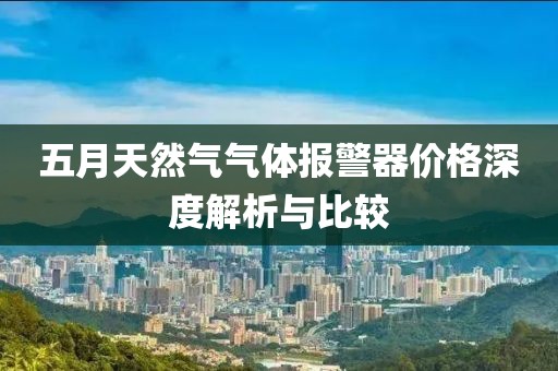 五月天然气气体报警器价格深度解析与比较