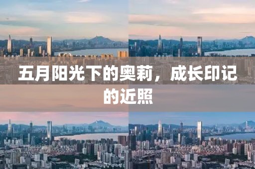 五月阳光下的奥莉，成长印记的近照