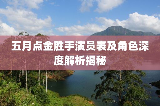 五月点金胜手演员表及角色深度解析揭秘
