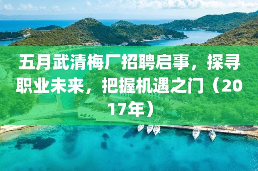 五月武清梅厂招聘启事，探寻职业未来，把握机遇之门（2017年）